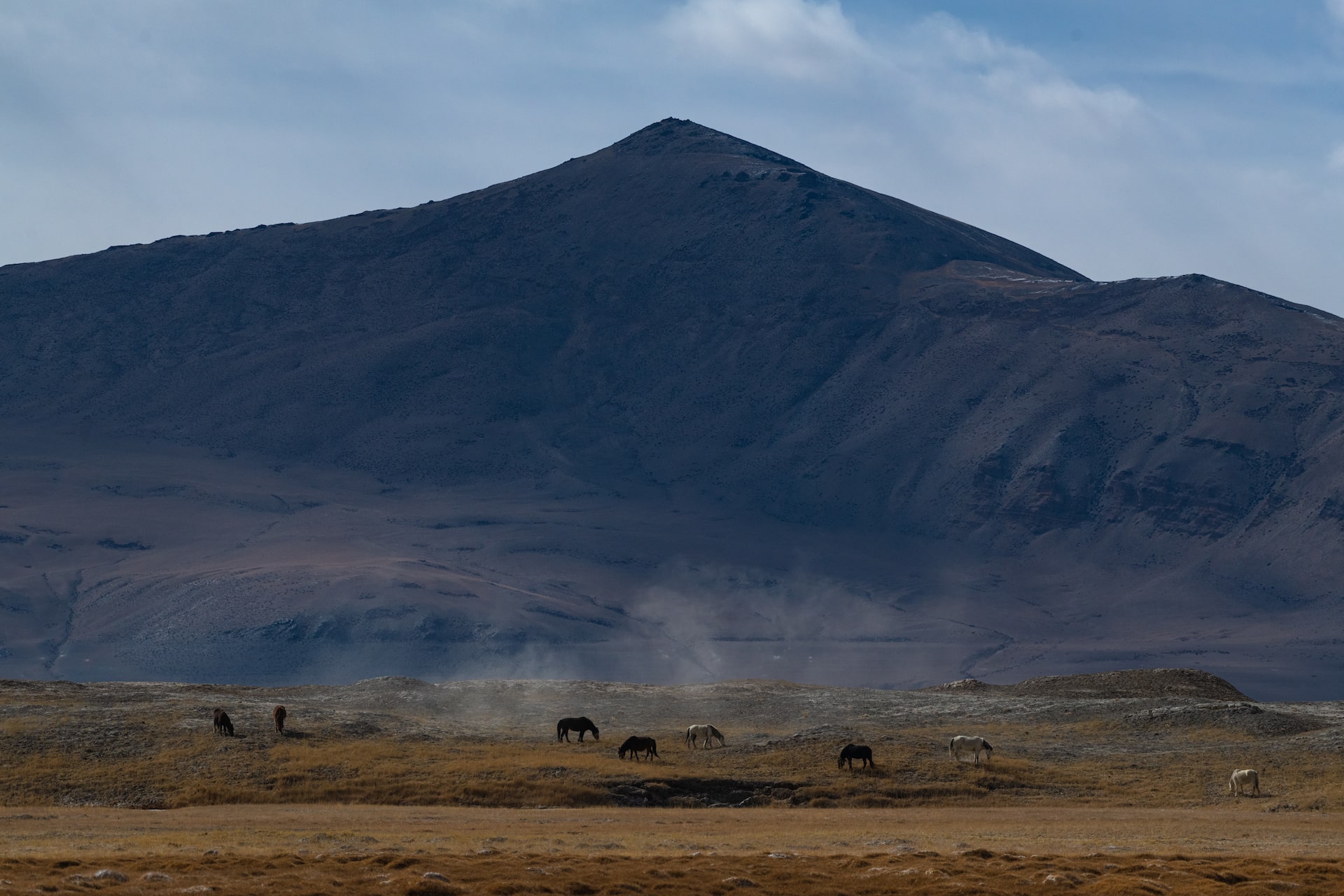 Nomadic herding and livestock rearing in highlands of Changthang